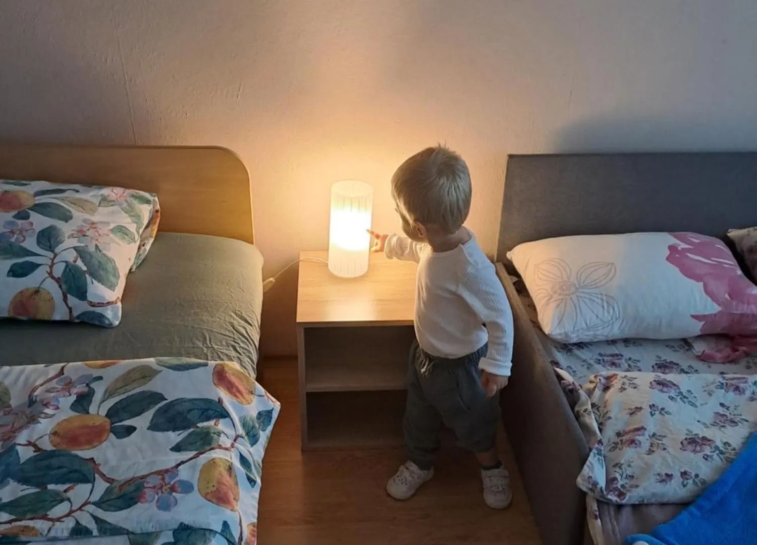 Levskig Studio 10 Min From Sofia Airport And City Centre location